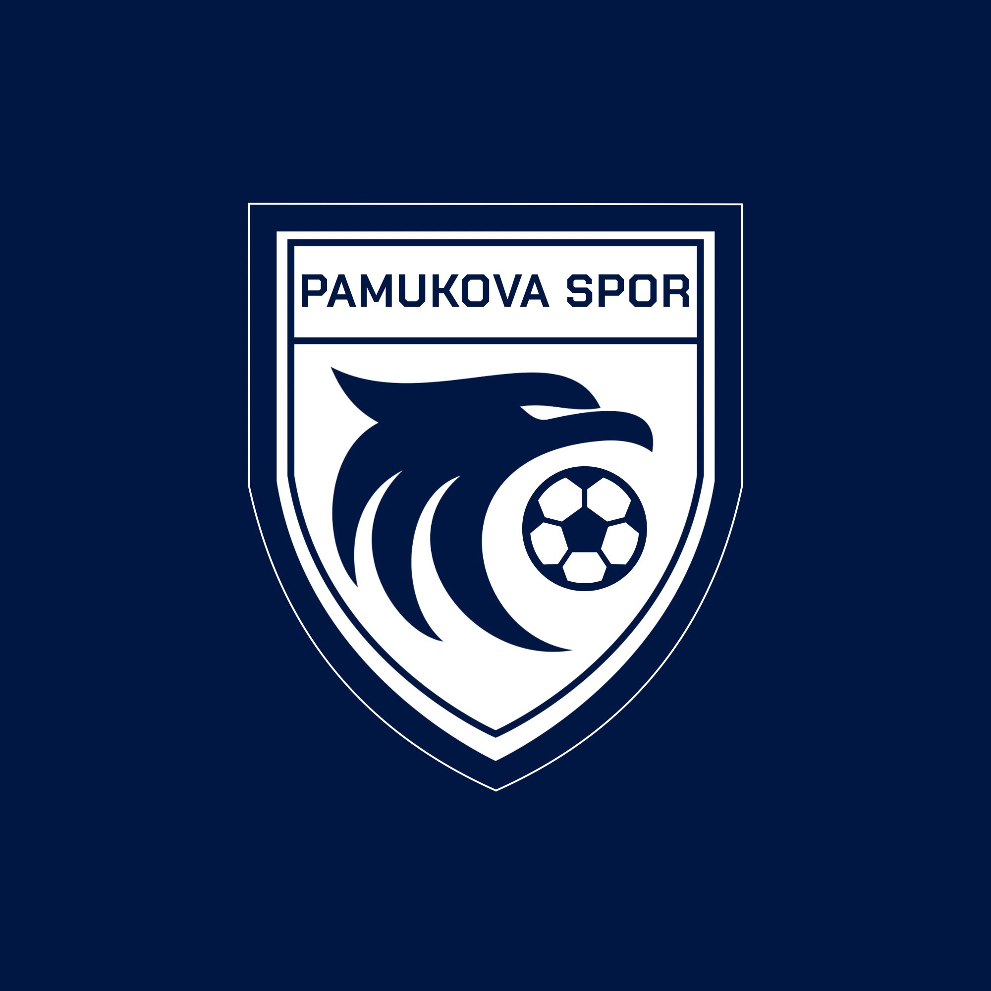PAMUKOVA SPOR